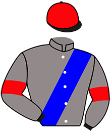 Casaque de STEELHAMMER