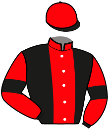 Casaque de HAPPY DE VILLODON