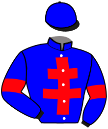 Casaque de GREAT DANCER