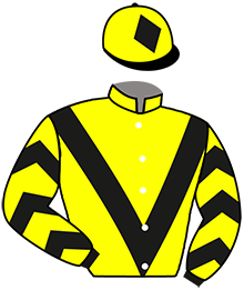 Casaque de MOTOR HEAD