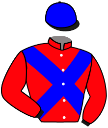 Casaque de DISSEMBLE