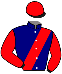 Casaque de MAVERICK DE CONROS