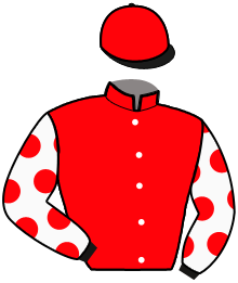 Casaque de ILTON DE BELLANDE