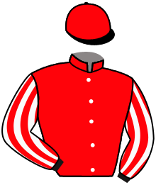 Casaque de MAITRE ENCHANTEUR