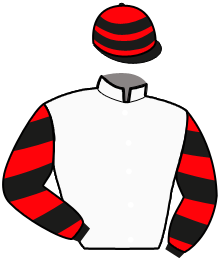 Casaque de NOBEL DU GERS