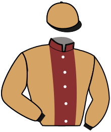 Casaque de MUFASA ACE