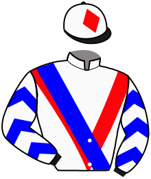 Casaque de ULTRASOUND