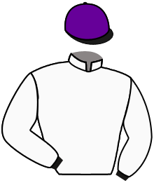 Casaque de JUNTOS GANAMOS