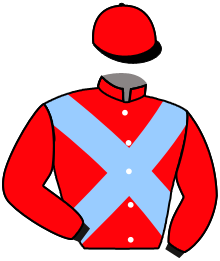 Casaque de HUMAN EVOLUTION