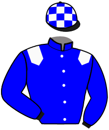 Casaque de NORTH OF GOLD