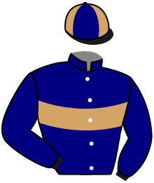 Casaque de GOLDEN FRIEND