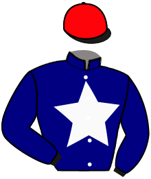 Casaque de LANCIER DU GOUTIER