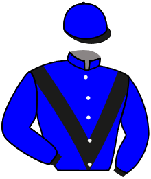 Casaque de TESTIPEDRO