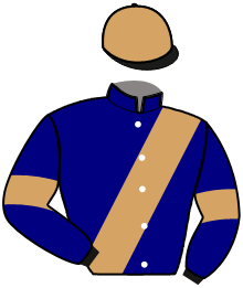 Casaque de IRON D'ESPOIR