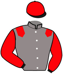 Casaque de OBAMI