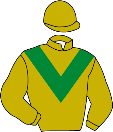 Casaque de DREAMWAY