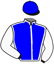 Casaque de LEBOSS D'HAVAROCHE