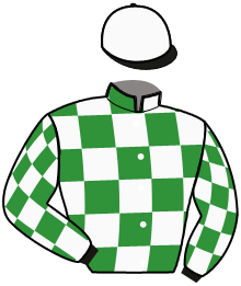 Casaque de MAVERICK ELLIS