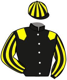 Casaque de GALAXIE LIMOUSINE