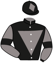 Casaque de FLINK